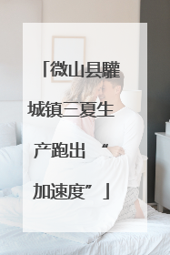 微山县驩城镇三夏生产跑出 “加速度”